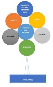 Family Tree 